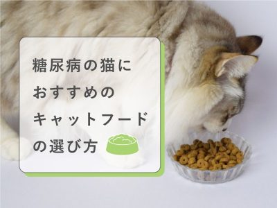 糖尿病猫おすすめキャットフード選び方