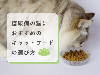 糖尿病の猫におすすめのキャットフード８選【獣医師監修】 | 獣