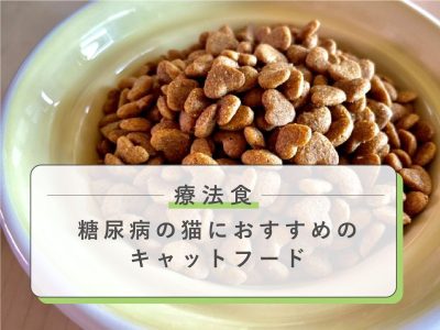 療法食おすすめキャットフード