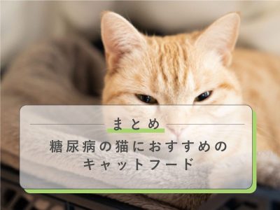 糖尿病の猫におすすめのキャットフード８選【獣医師監修】 | 獣