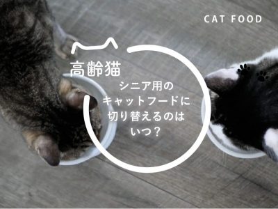 高齢猫シニア切り替え