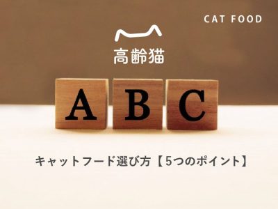 高齢猫キャットフード選び方