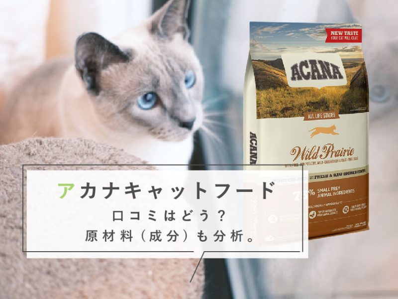 アカナキャットフードの口コミはどう？原材料（成分）も分析。