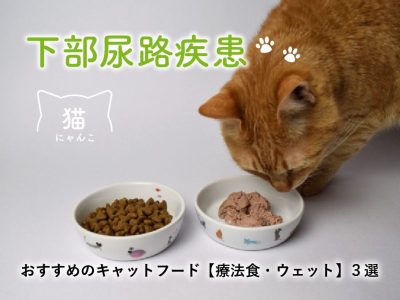 下部尿路疾患の猫におすすめのキャットフード【療法食・ウェット】３選