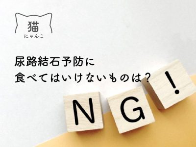 猫の尿路結石予防に食べてはいけないものは？