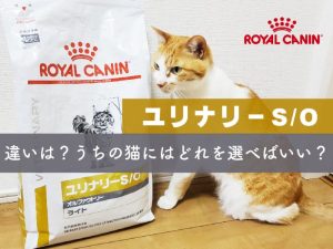 ロイヤルカナンユリナリーS/Oの違いは？うちの猫にはどれを選べばいい？【獣医師監修】 | 獣医師が選ぶキャットフードおすすめランキング｜キャットフード  セレクト