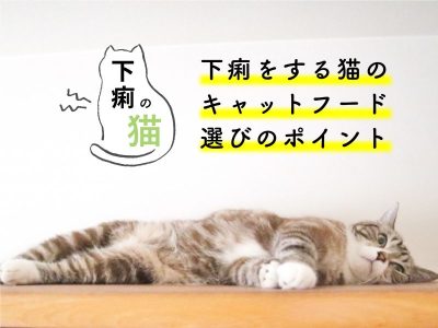 下痢の猫-下痢をする猫のキャットフード選びのポイント