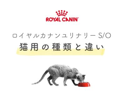 ロイヤルカナンユリナリーS/O 猫用の種類と違い