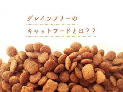 グレインフリーのキャットフードとは？