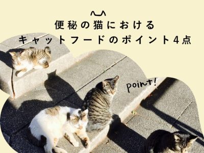 便秘の猫のキャットフードのポイント