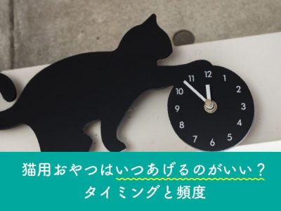 猫用おやつはいつあげるのがいい？タイミングと頻度