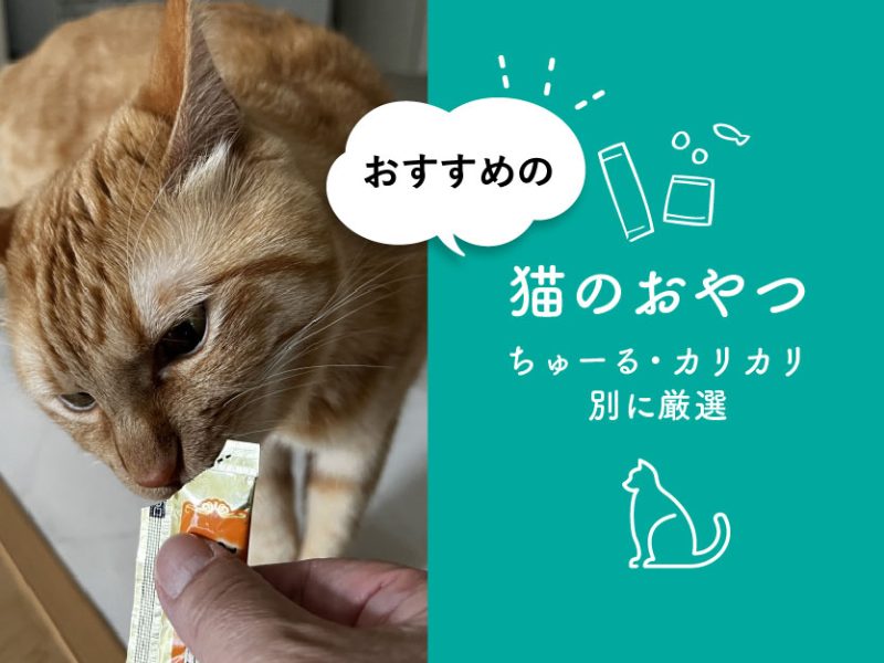 猫のおやつおすすめ・ちゅーるカリカリ