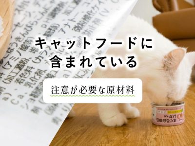 キャットフードに含まれている注意が必要な原材料