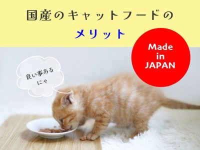 国産のキャットフードのメリット