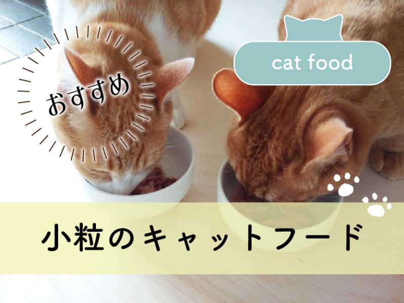 ギフ_包装 Cat food/キャットフード - ペット用品