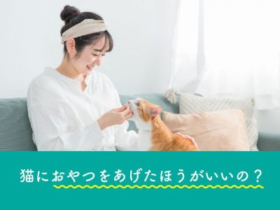 猫におやつをあげたほうがいいの？