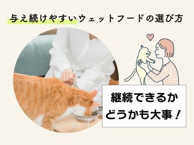 猫用ウェットフードおすすめ-継続できるかどうかも大事！