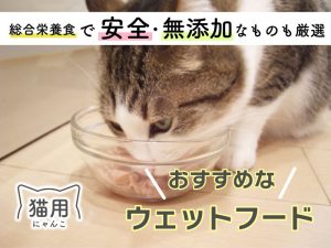 猫用ウェットフードおすすめ17選｜総合栄養食で安全・無添加なものも厳選。