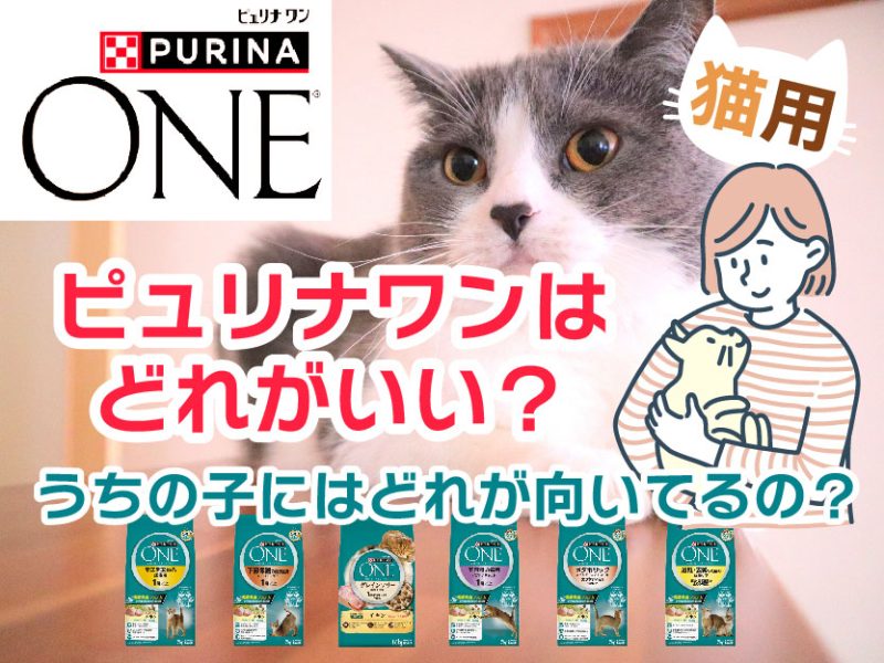 猫用ピュリナワンはどれがいい？うちの子にはどれが向いてるの？ 獣医師が選ぶキャットフードおすすめランキング｜キャットフード セレクト