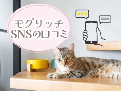 モグリッチのSNS口コミ