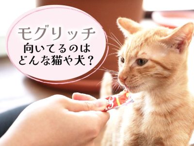 モグリッチ_向いている猫や犬