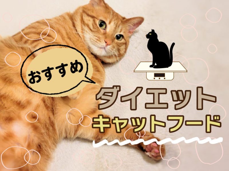 ダイエットキャットフードおすすめ