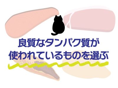 ダイエットキャットフードの選び方②良質なタンパク質