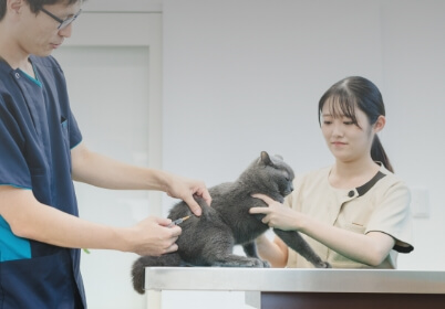 vaccination