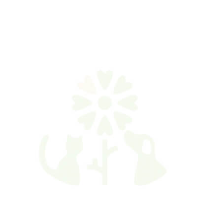 deco