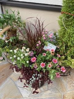 ちょっとしたお知らせ～１３日だけお花屋さん開店します！