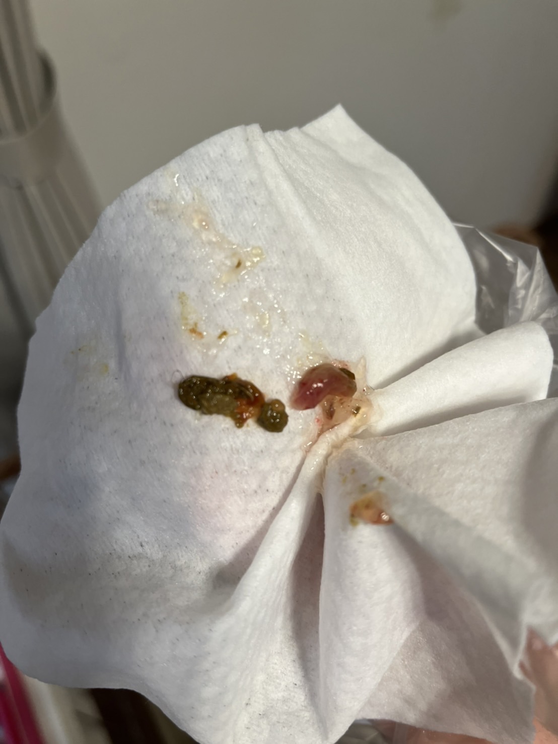 嘔吐！下痢！血便！！！こんなときどうする？