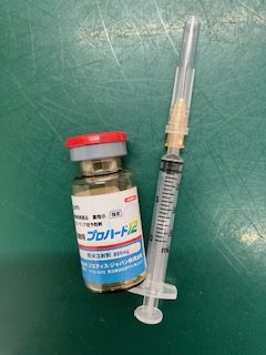 フィラリアの予防注射期間がはじまります！（ワンちゃん限定）