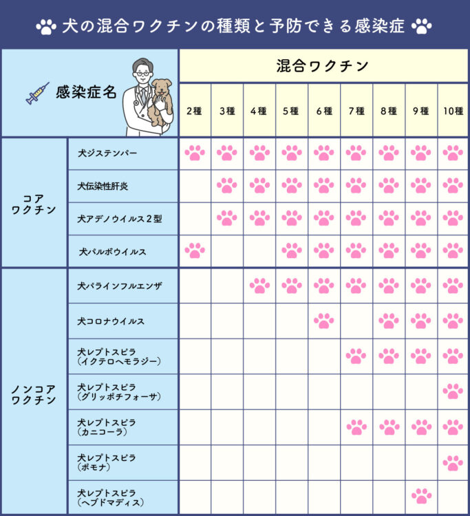 犬の混合ワクチンの種類と予防できる感染症