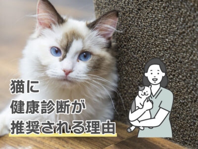 猫の健康診断_推奨される理由