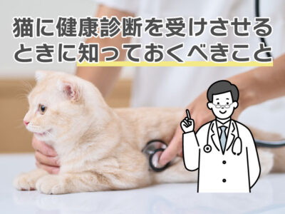 猫の健康診断_知っておくべきこと