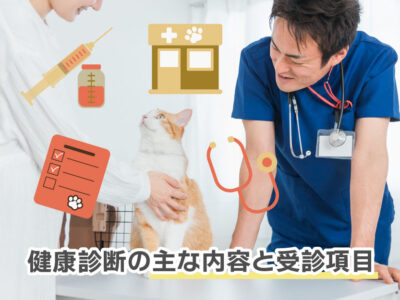 猫の健康診断_主な内容と受信項目