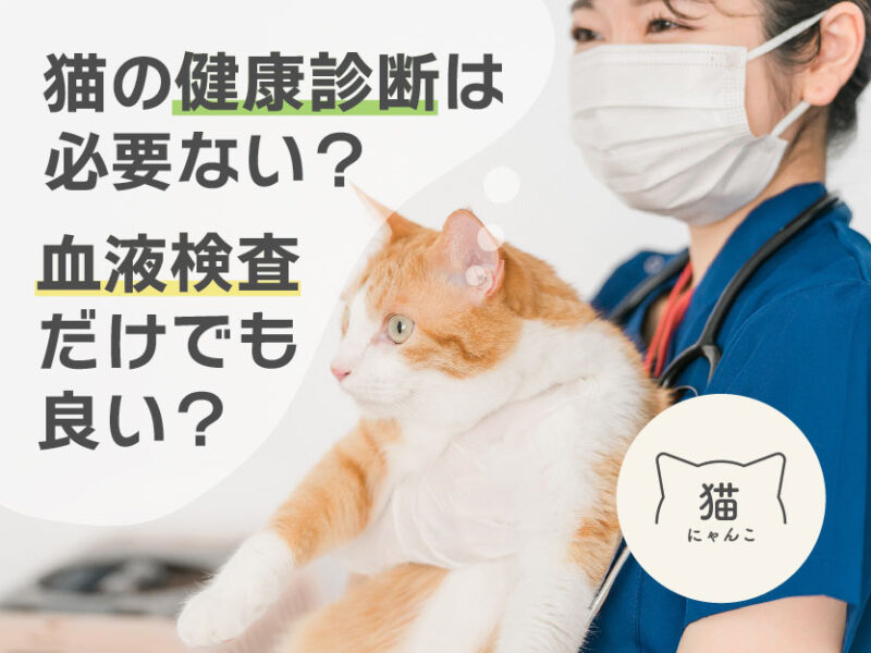 猫の健康診断は必要ない？血液検査だけでも良い？