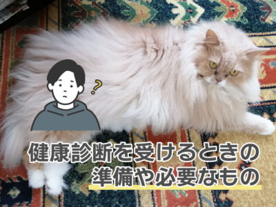 猫の健康診断_準備や必要なもの