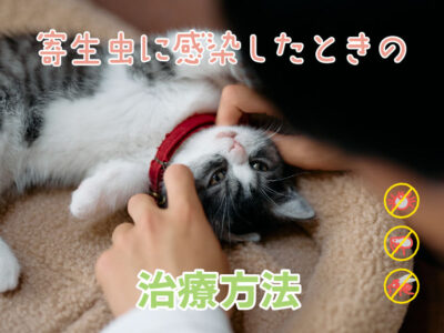 寄生虫に感染した時の治療方法